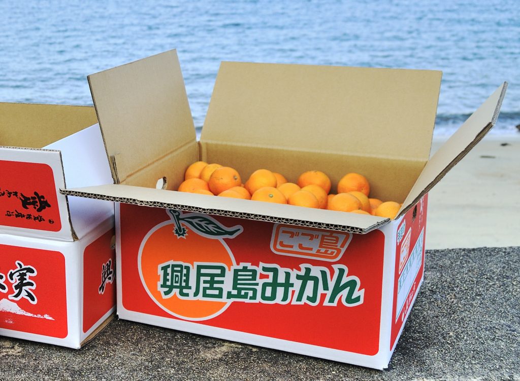 25 田村 智靖【柑橘王国愛媛の「興居島（ごごしま）ブランド」新時代を